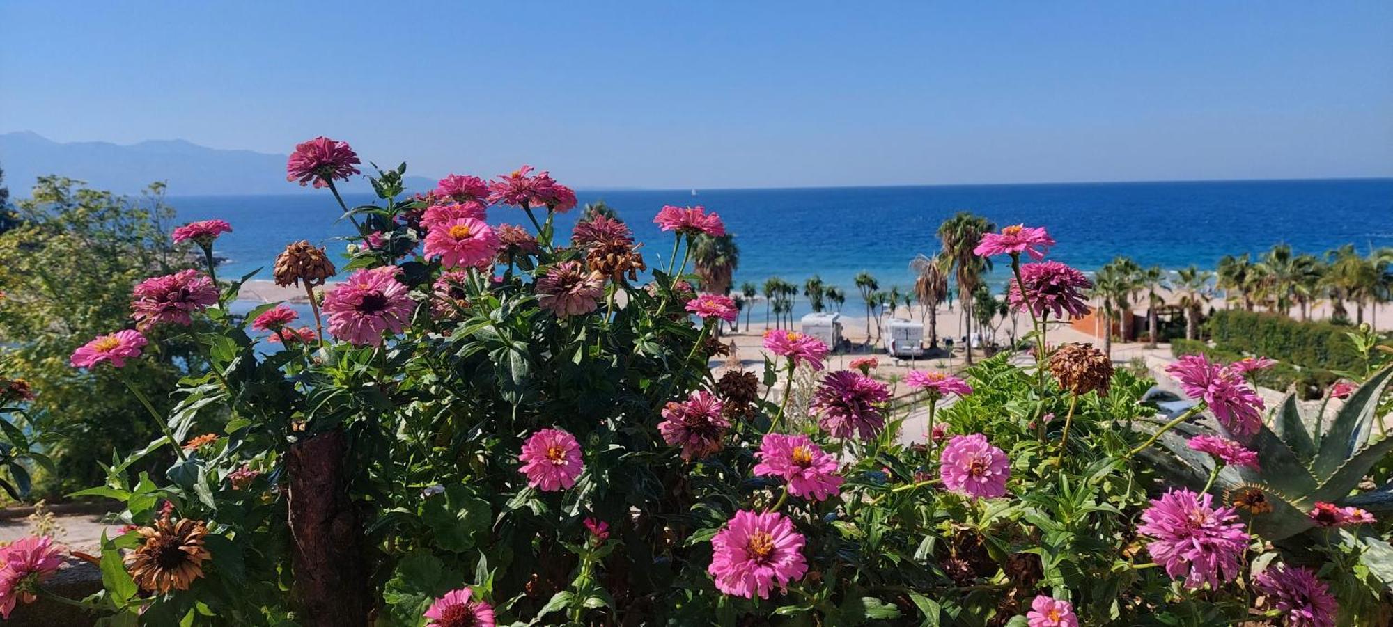 Apartment Tinka In Saranda ภายนอก รูปภาพ